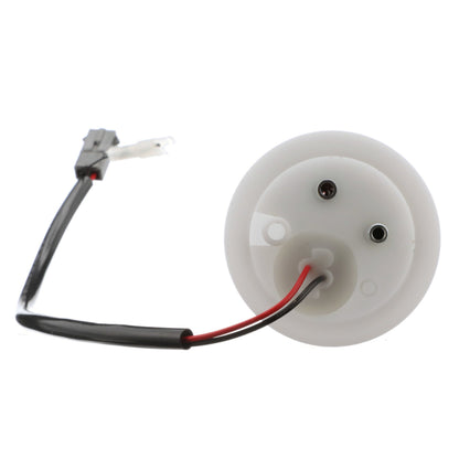 Delphi PN3181