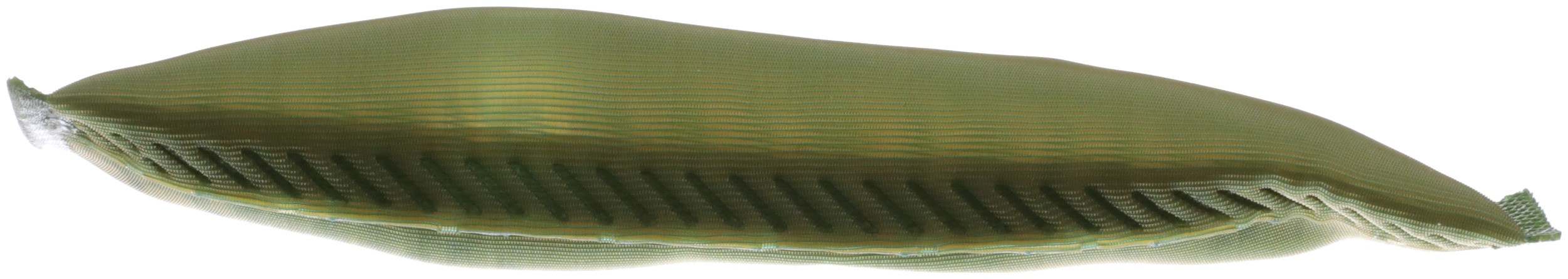 Delphi PN7008