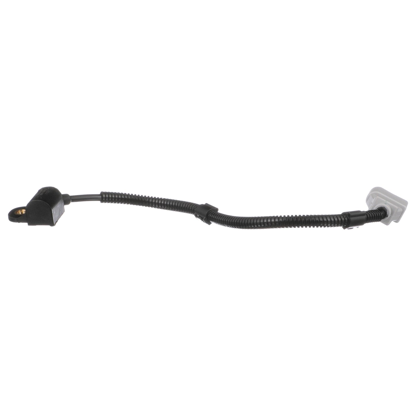 Delphi Engine Camshaft Position Sensor SS10964
