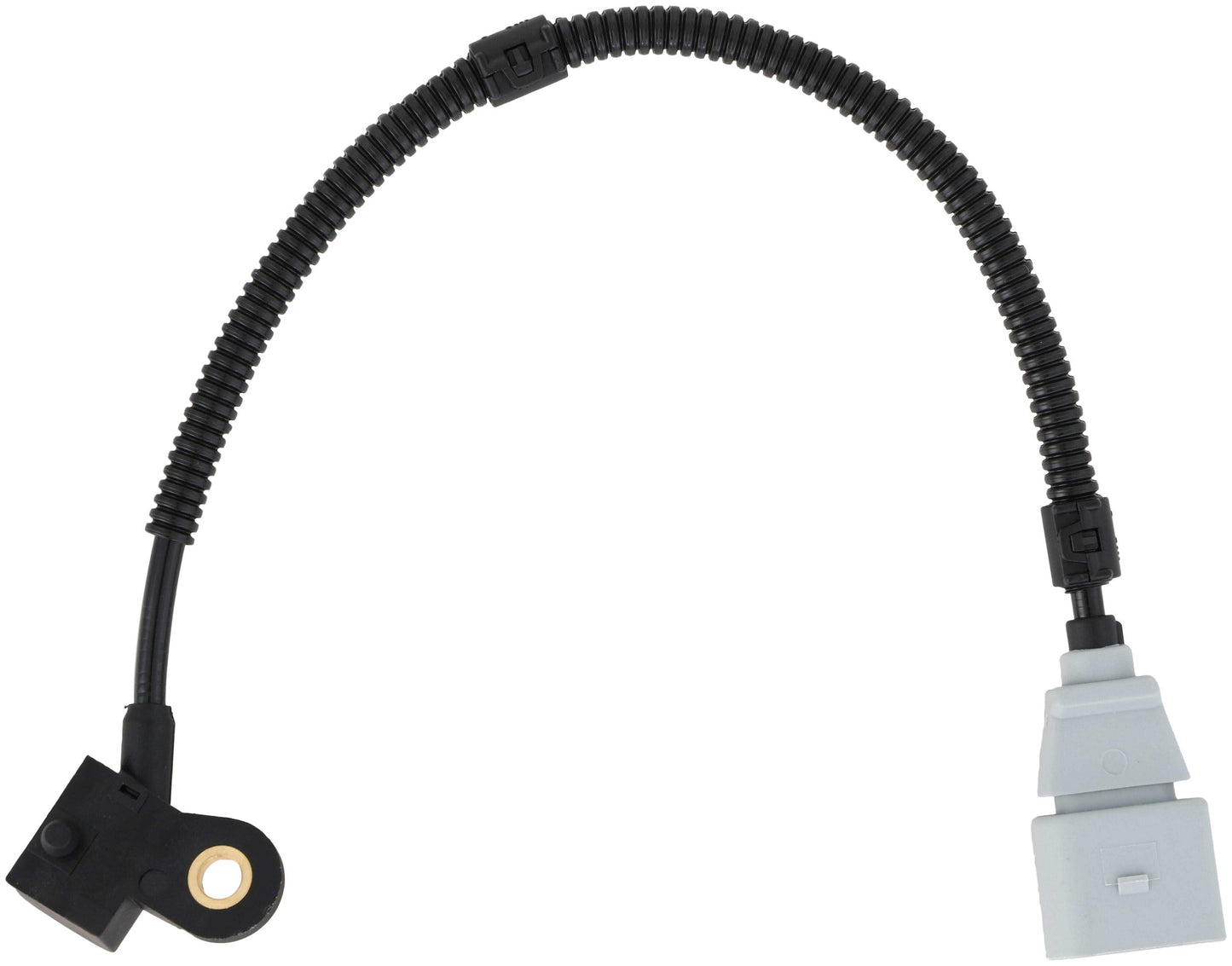 Delphi Engine Camshaft Position Sensor SS11217 image 6