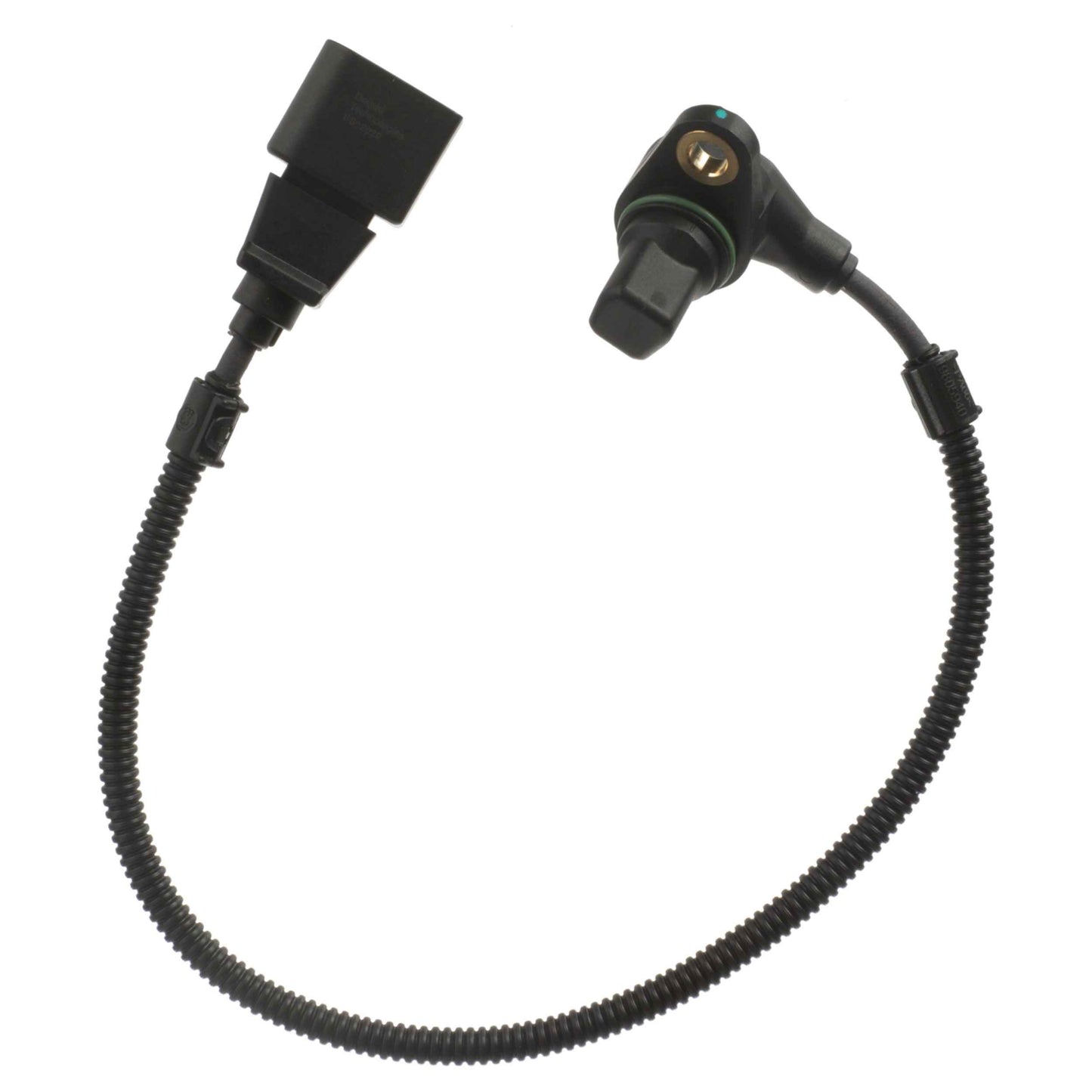 Delphi Engine Crankshaft Position Sensor SS12029