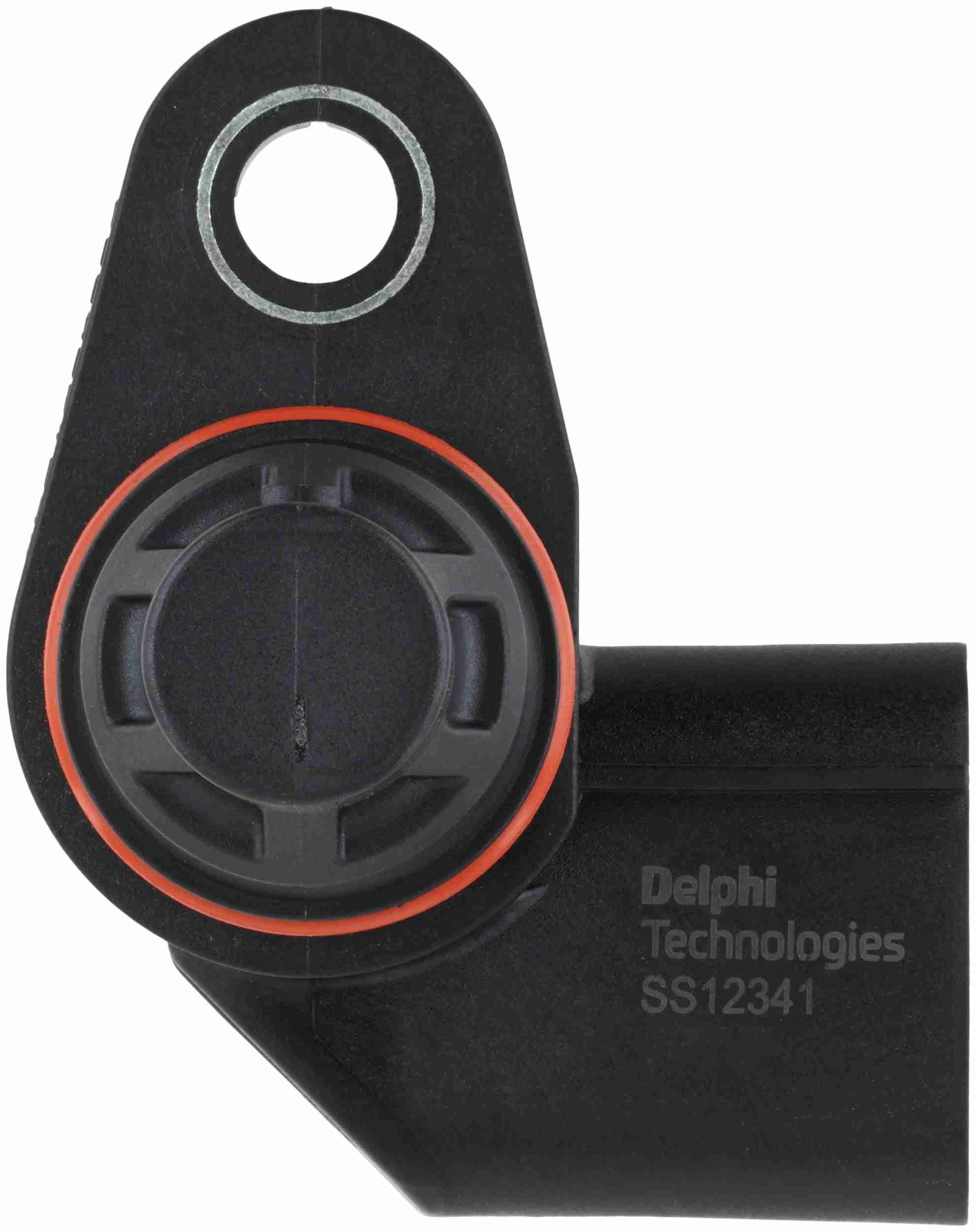 Delphi SS12341