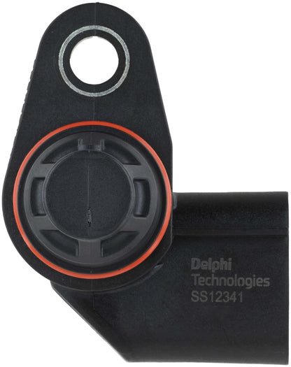 Delphi SS12341