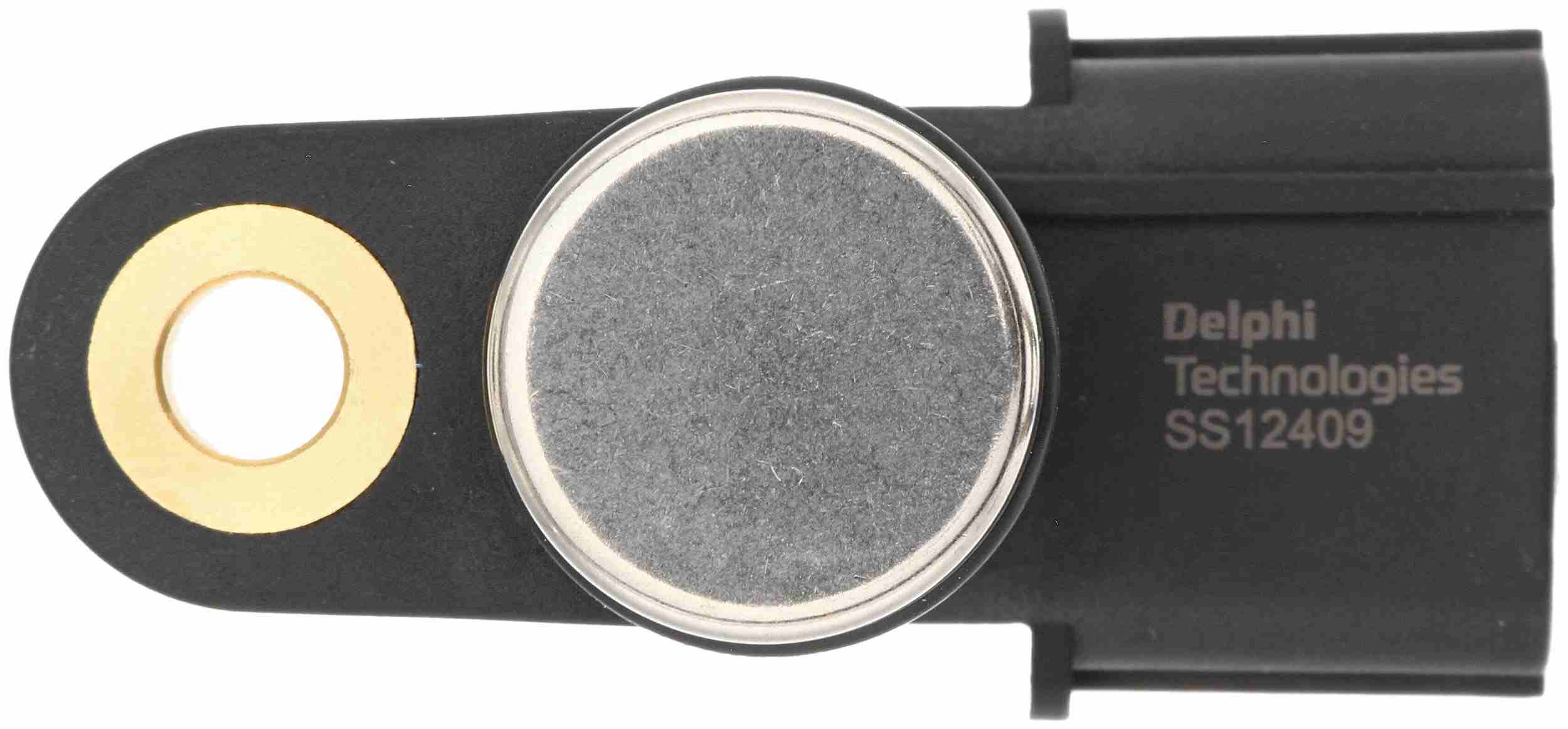 Delphi SS12409