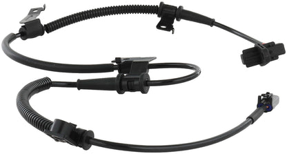 Delphi SS20536 image 4