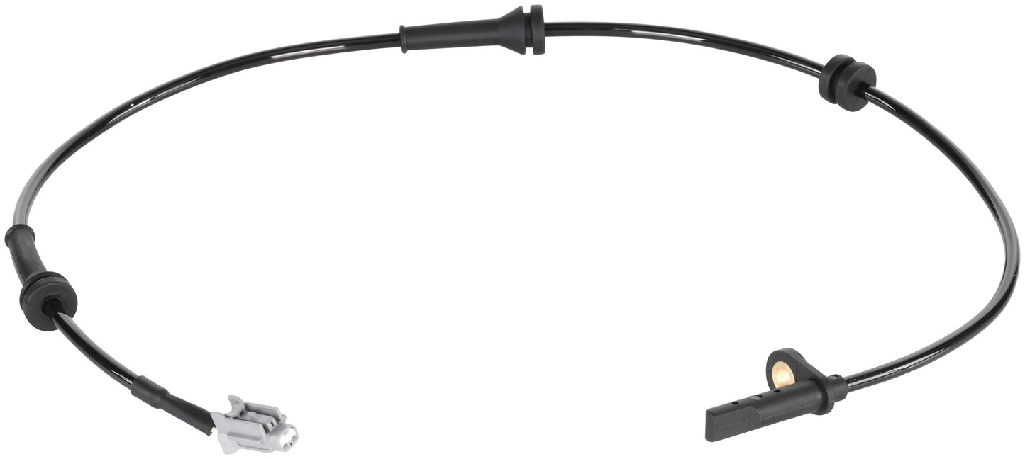 Delphi SS21060