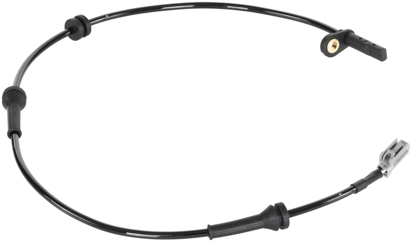 Delphi SS21060