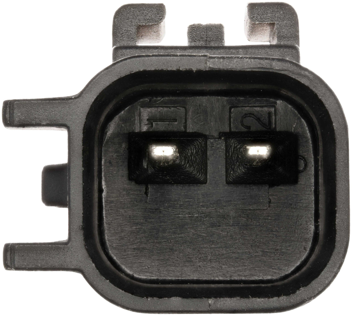 Delphi SS21598