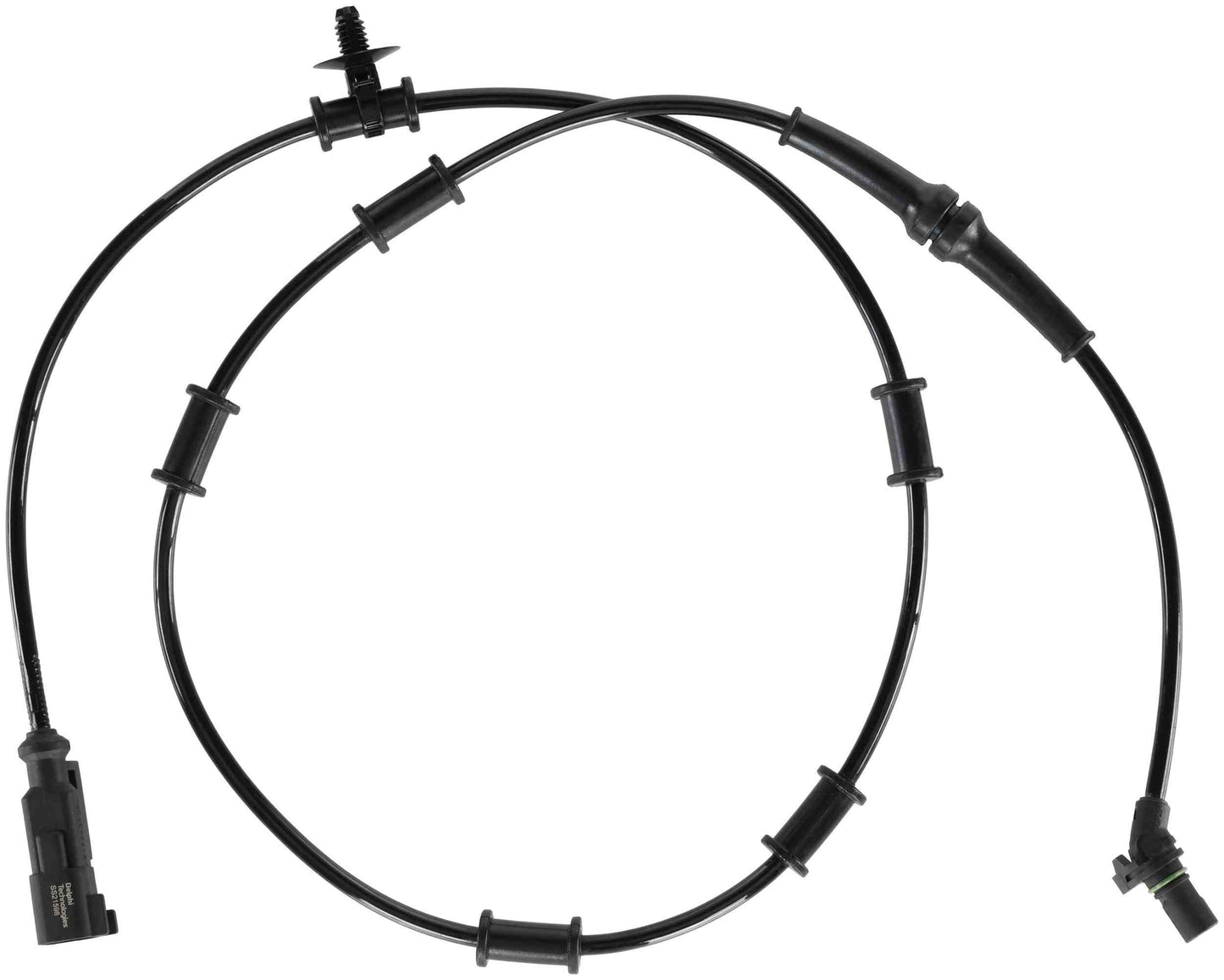 Delphi SS21598