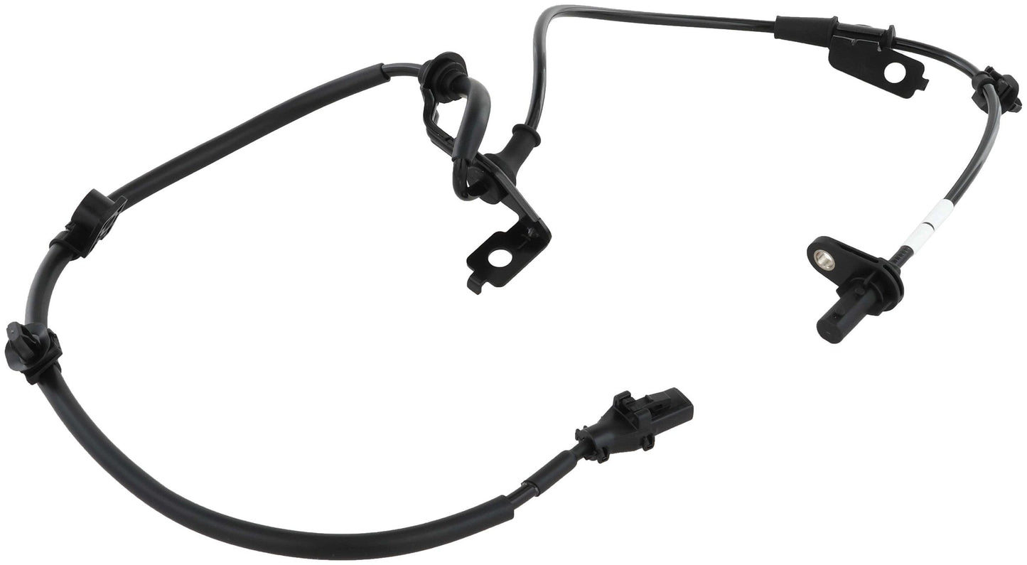 Delphi SS21599