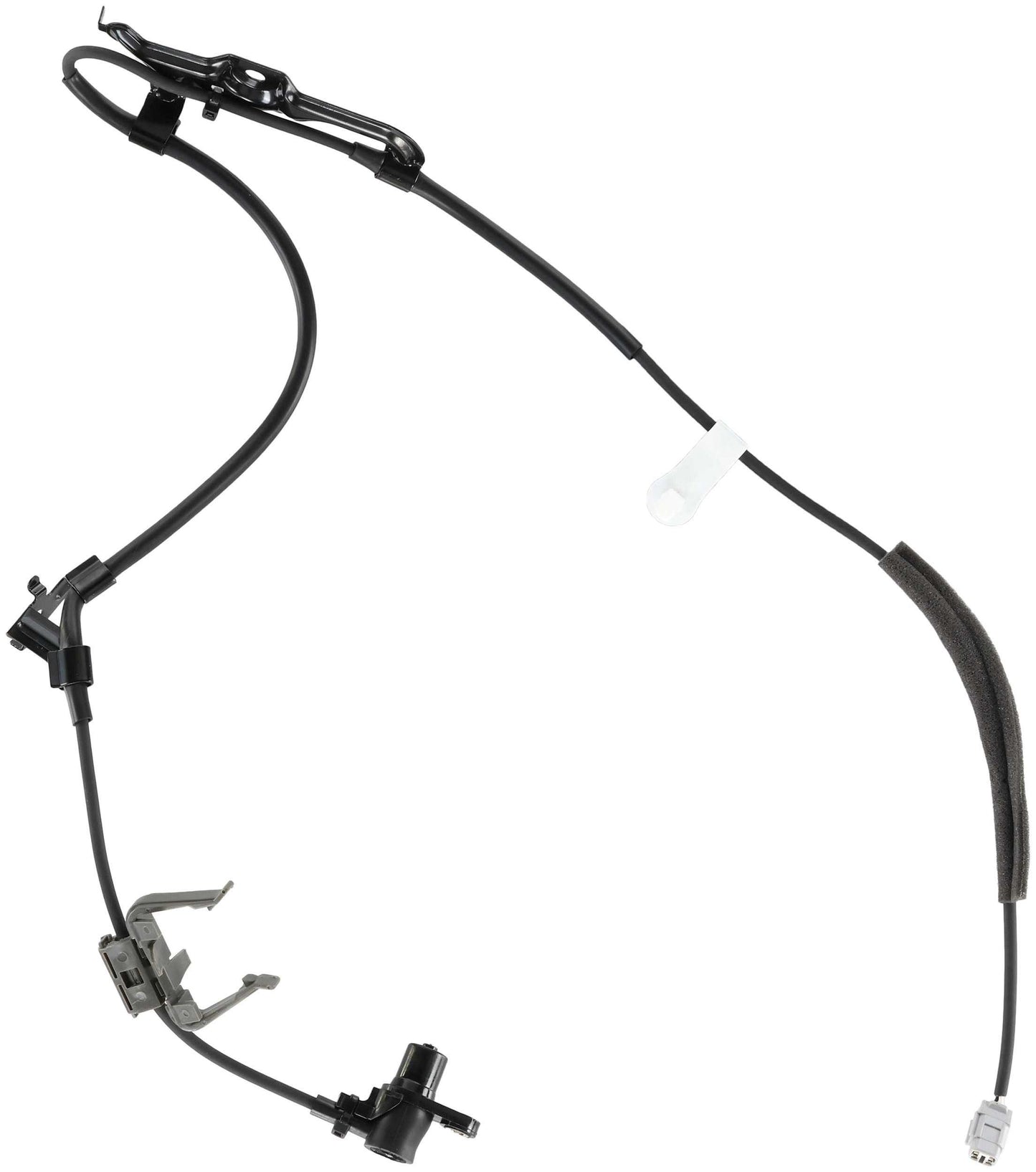 Delphi SS21619