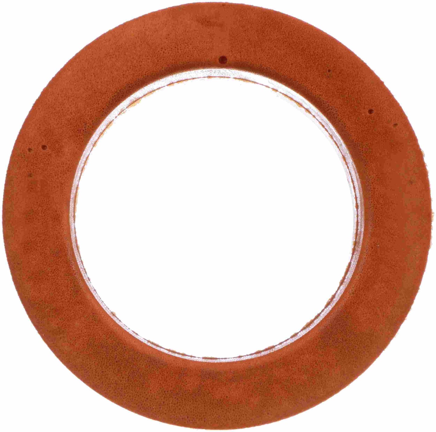 Delphi Suspension Coil Spring Seat TC6465