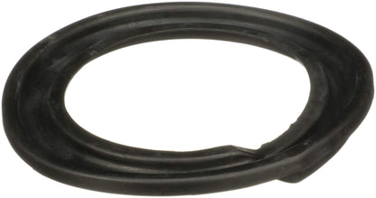 Delphi Suspension Coil Spring Seat TC6473