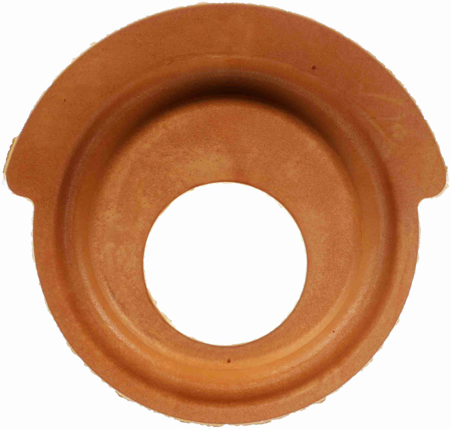 Delphi Suspension Coil Spring Seat TC6475