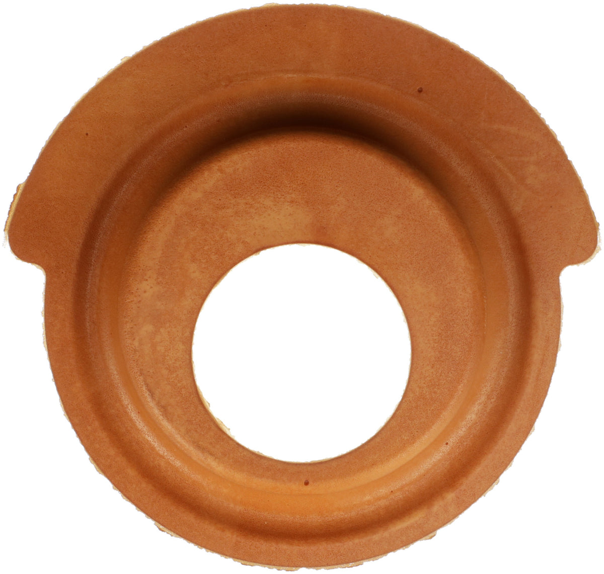 Delphi Suspension Coil Spring Seat TC6475