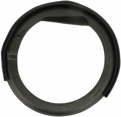 Delphi Suspension Coil Spring Seat TC6545