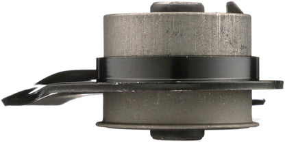 Delphi Suspension Trailing Arm TC7152
