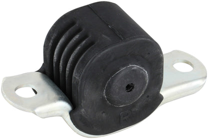 Delphi Suspension Control Arm Bushing TD389W