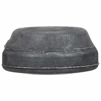 Delphi Suspension Control Arm Bushing TD4236W