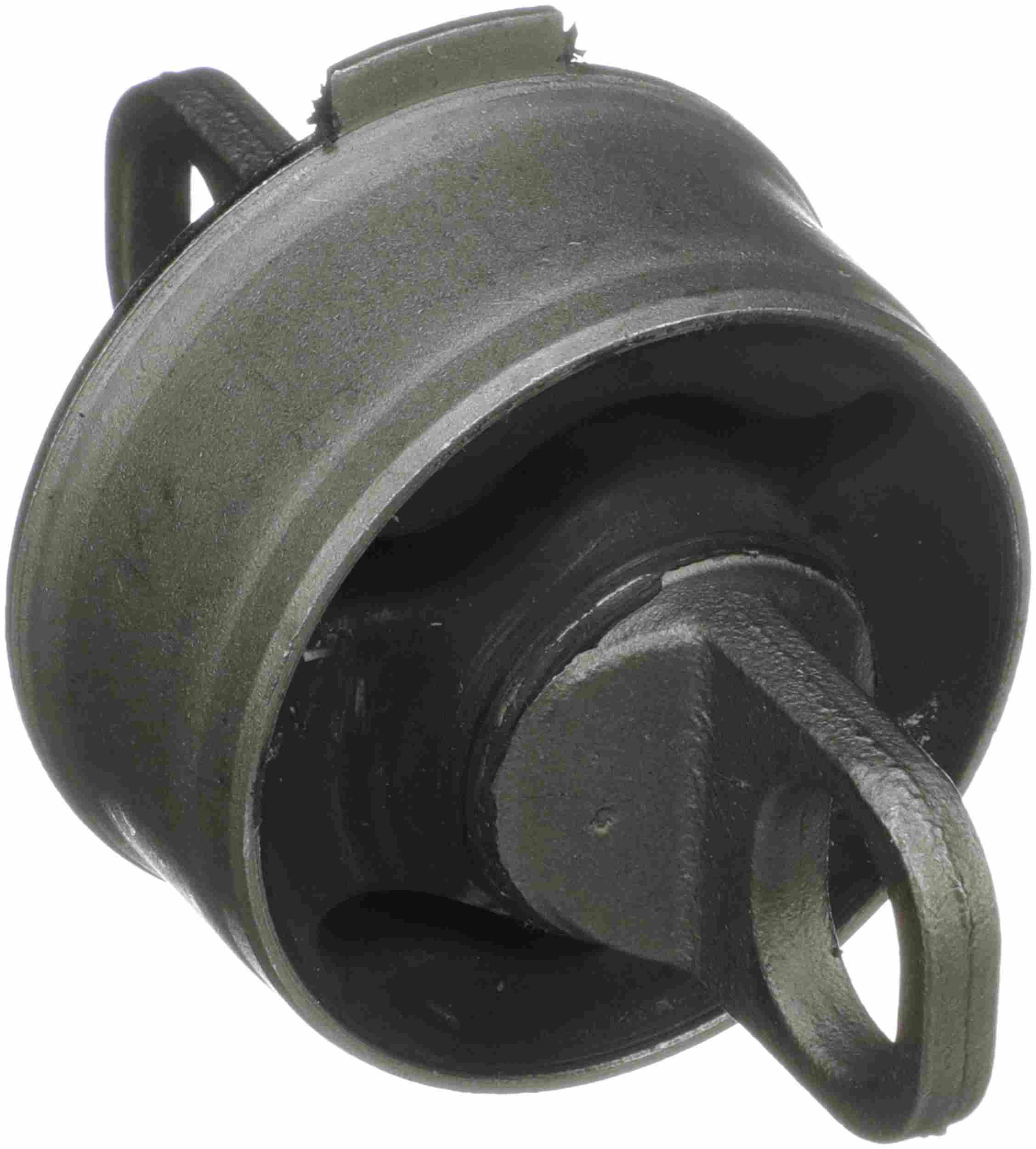 Delphi Suspension Trailing Arm Bushing TD4798W