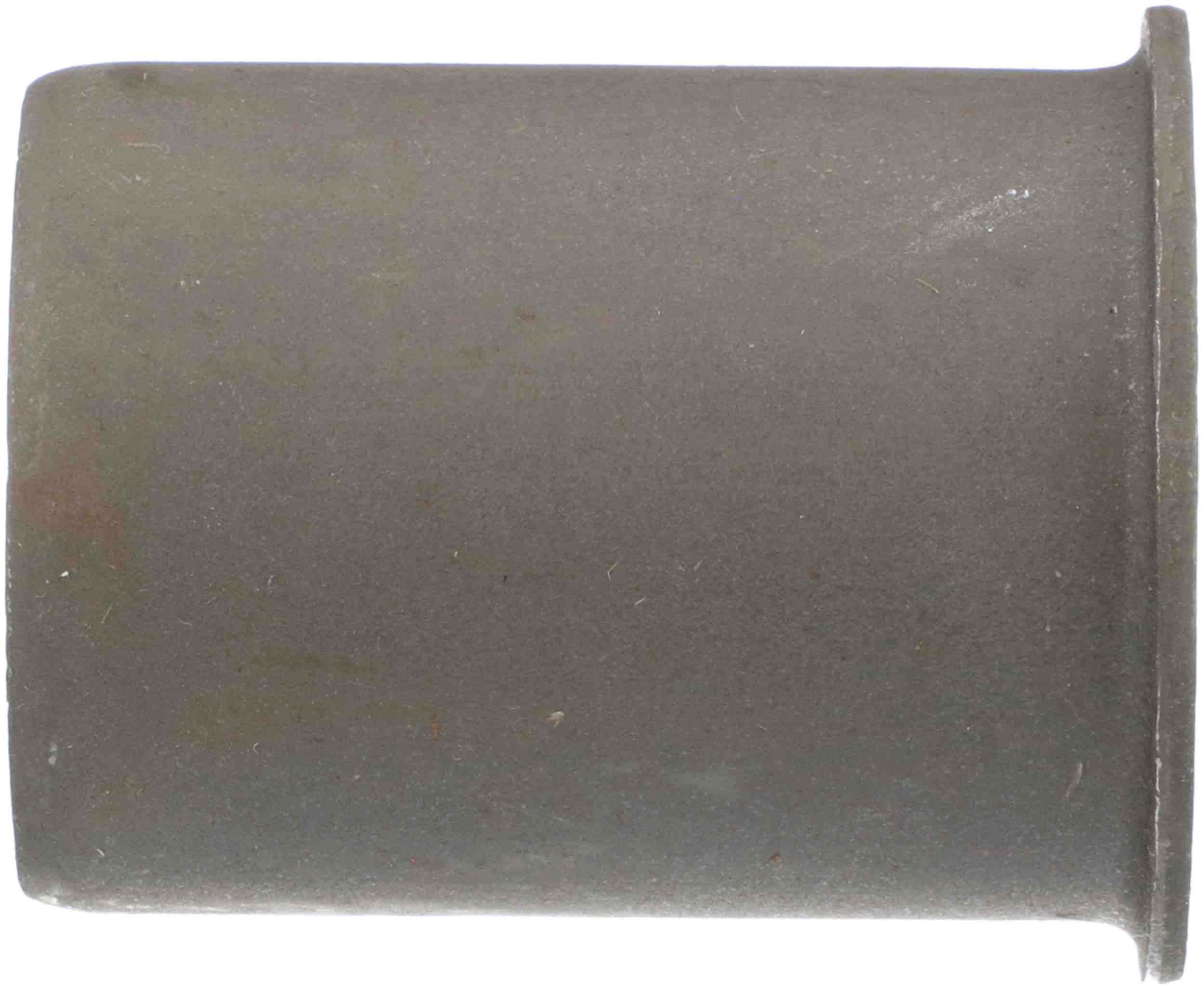 Delphi Suspension Control Arm Bushing TD4882W