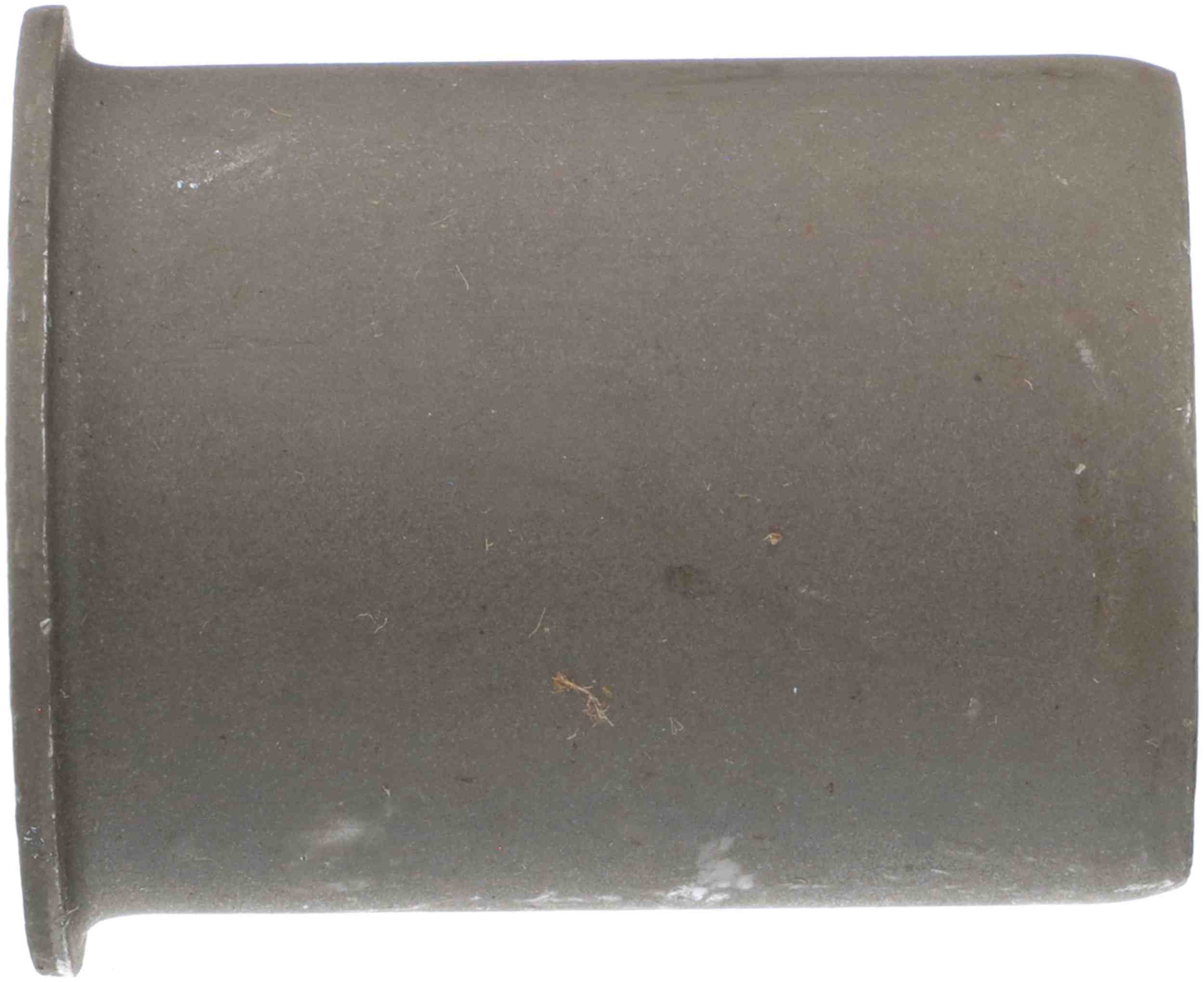 Delphi Suspension Control Arm Bushing TD4882W