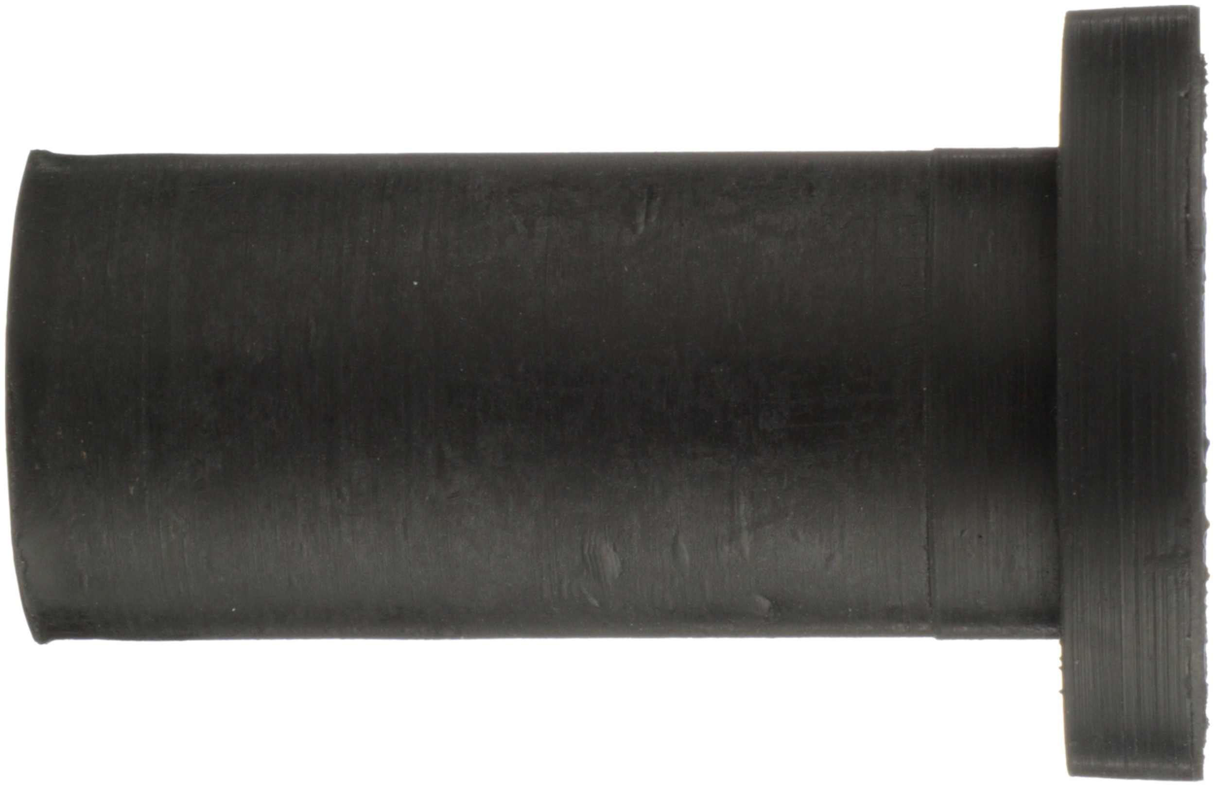 Delphi Rack and Pinion Mount Bushing TD4894W