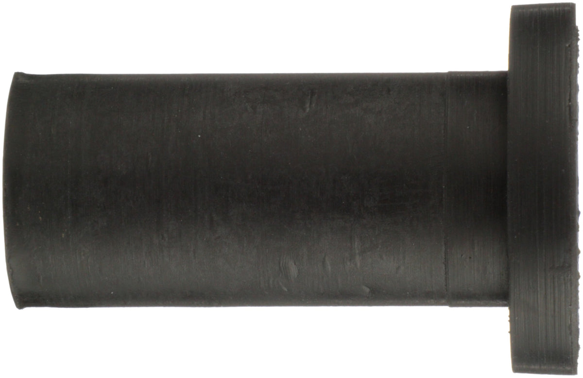 Delphi Rack and Pinion Mount Bushing TD4894W