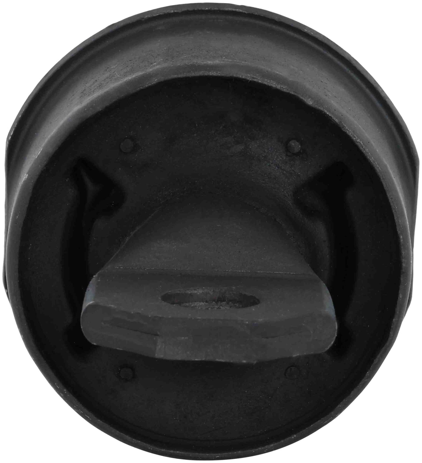 Delphi Suspension Trailing Arm Bushing TD5633W