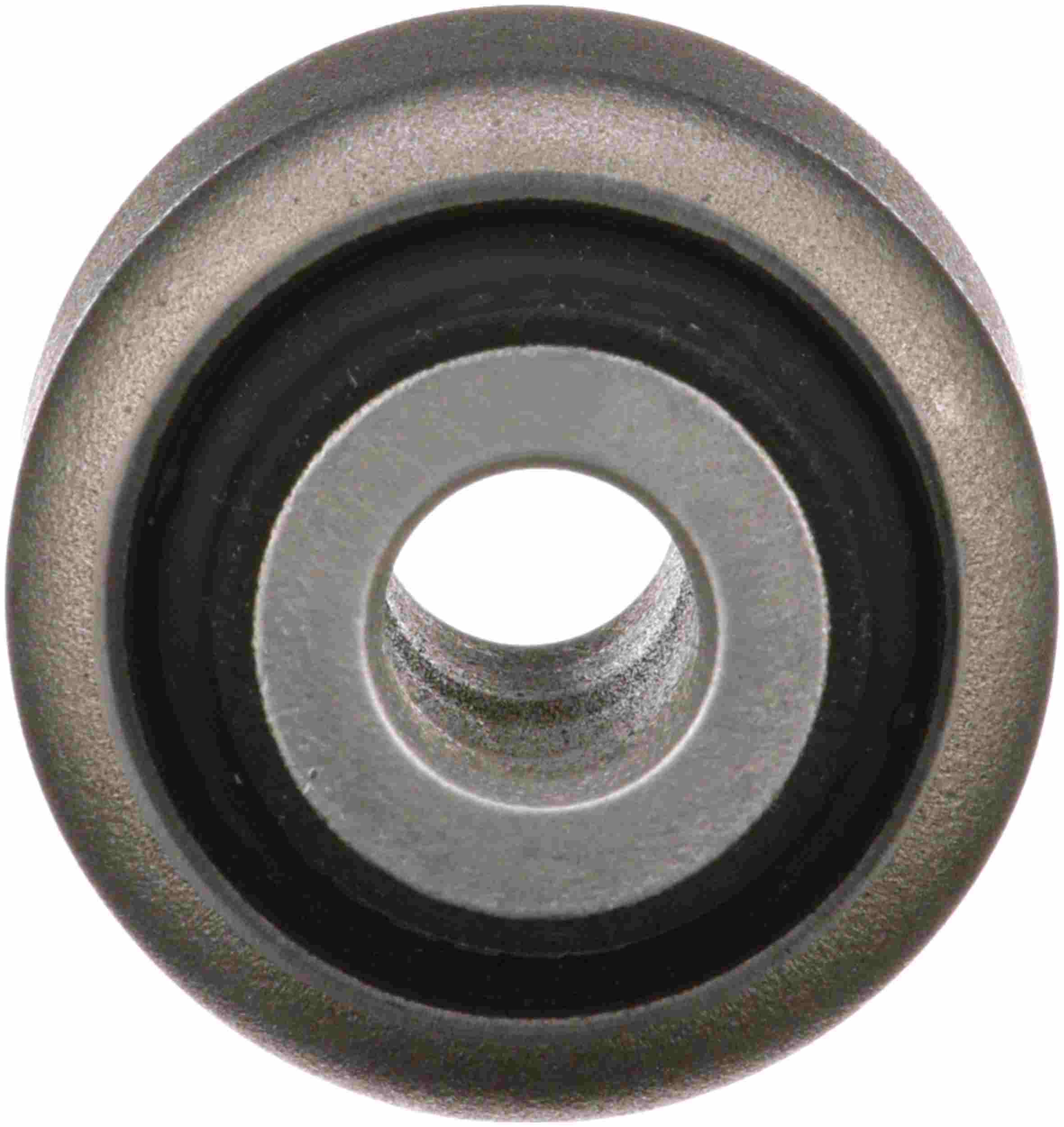 Delphi Suspension Control Arm Bushing TD5899W