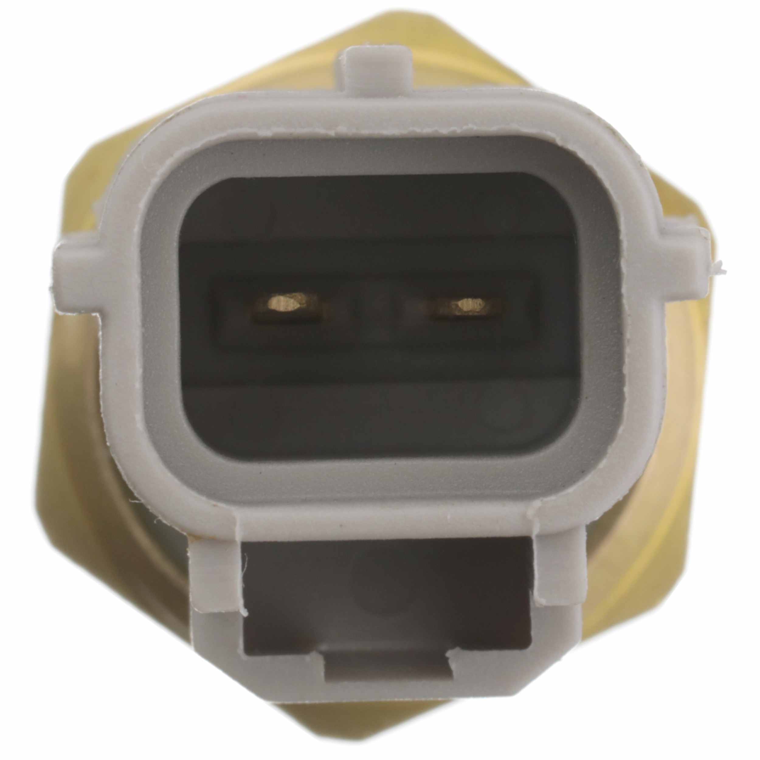 Delphi Engine Coolant Temperature Sensor TS10001