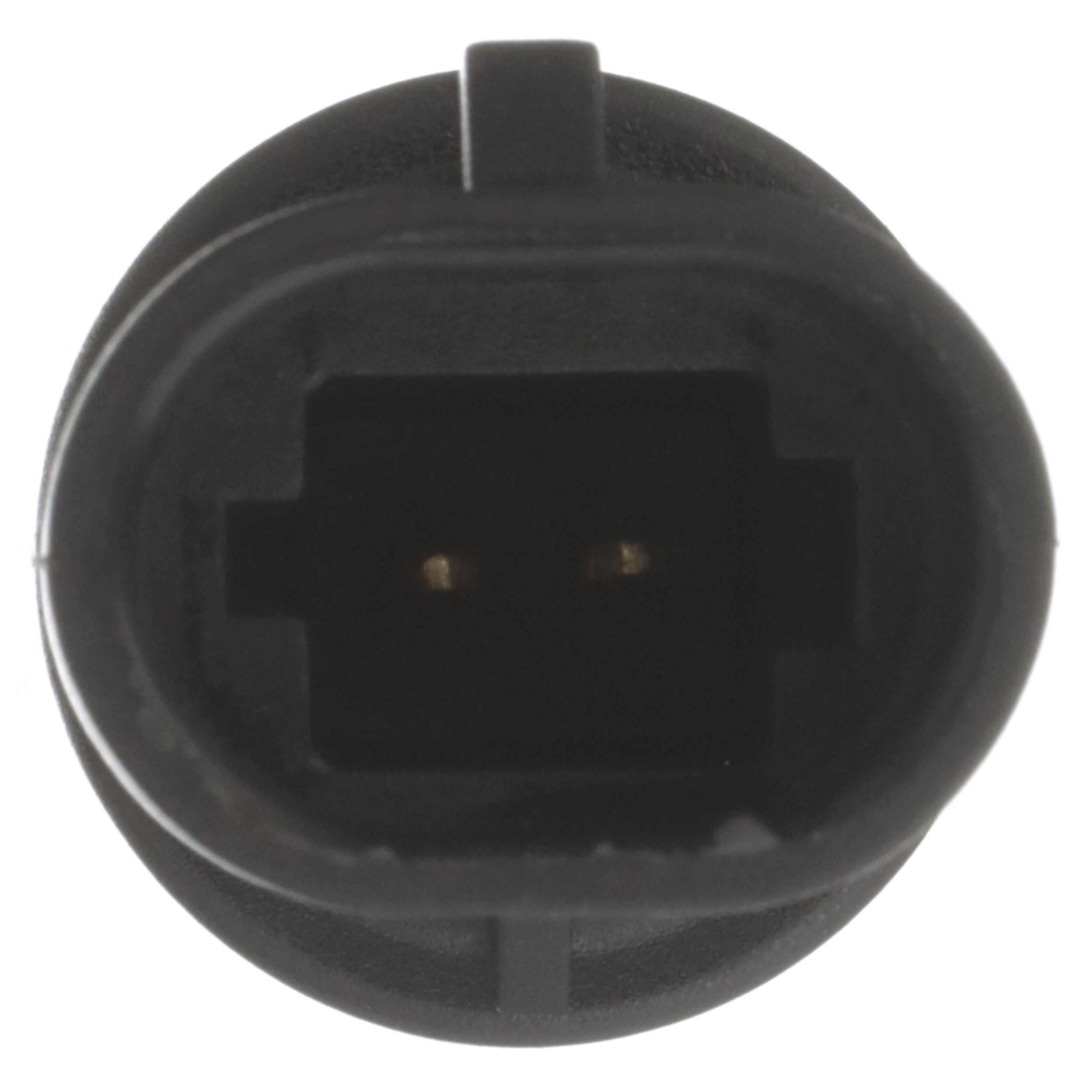Delphi Air Charge Temperature Sensor TS10072