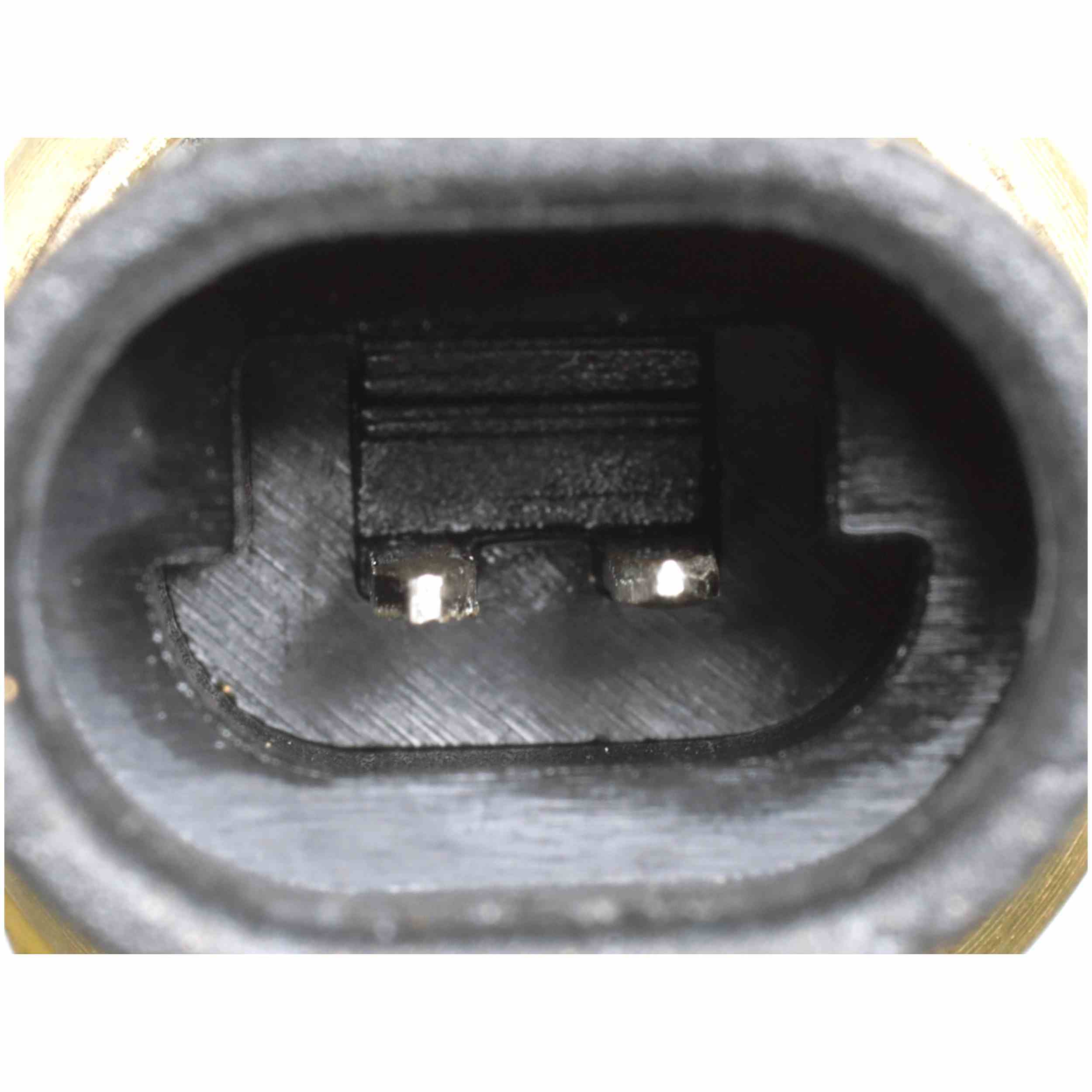 Delphi Engine Coolant Temperature Sensor TS10076