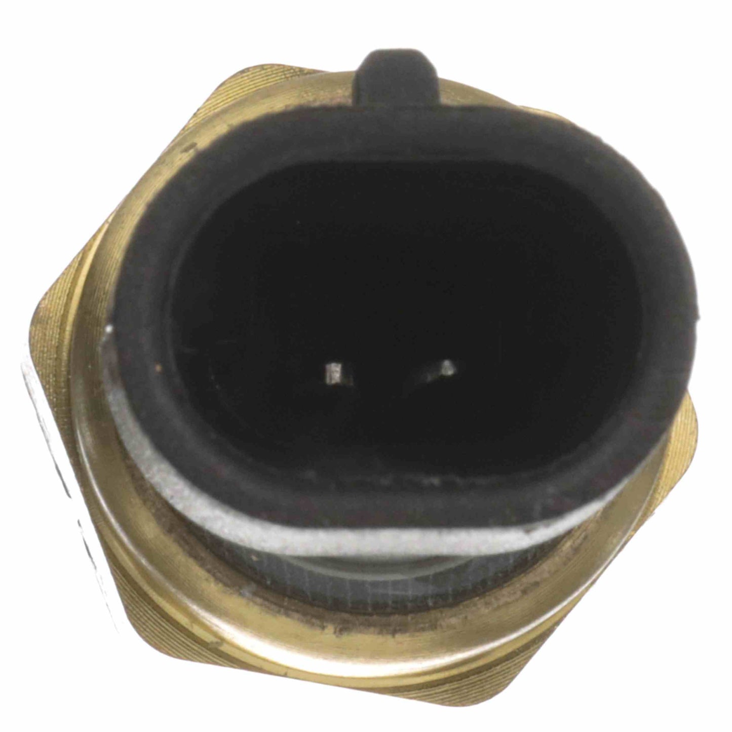 Delphi Engine Coolant Temperature Sensor TS10076