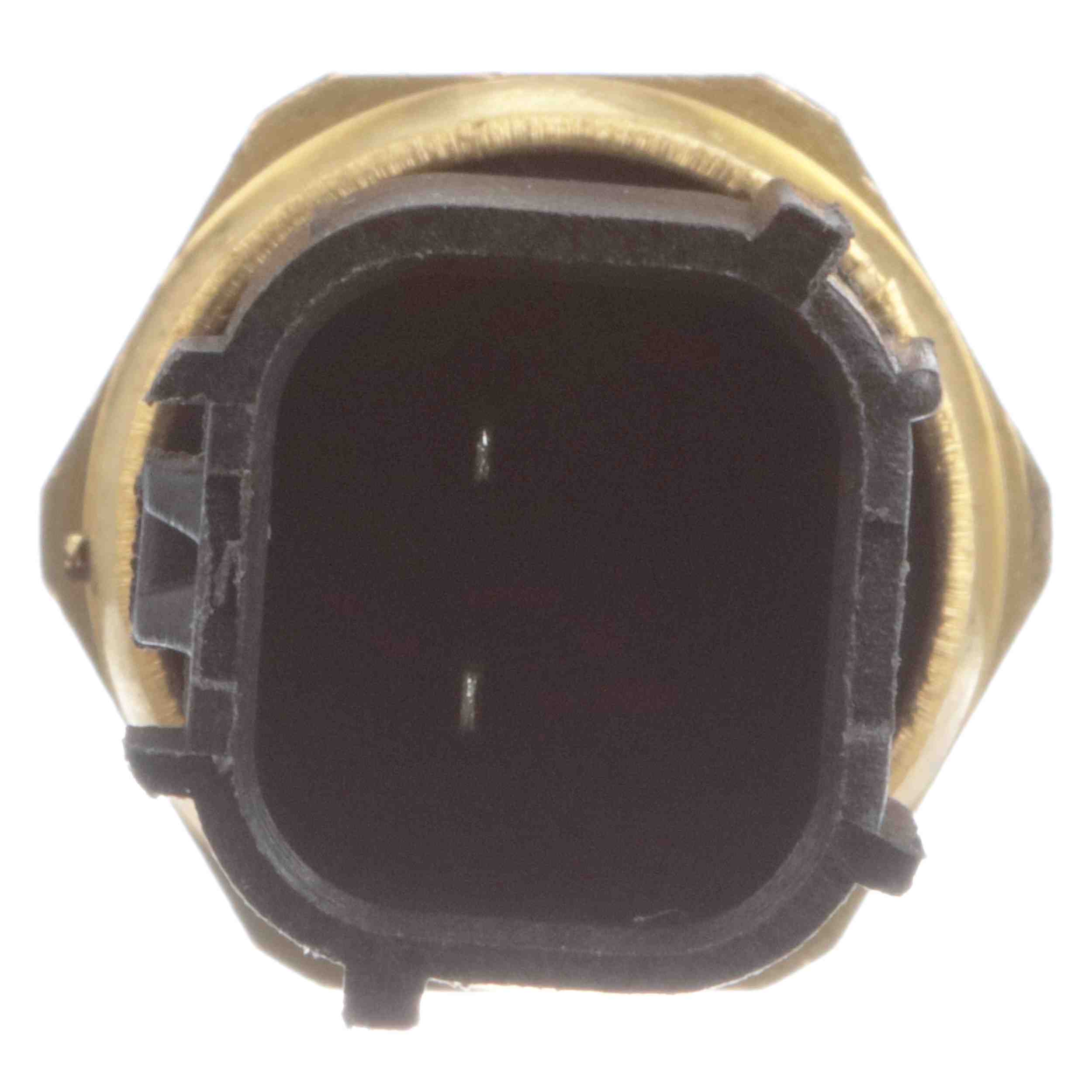 Delphi Engine Coolant Temperature Sensor TS10154
