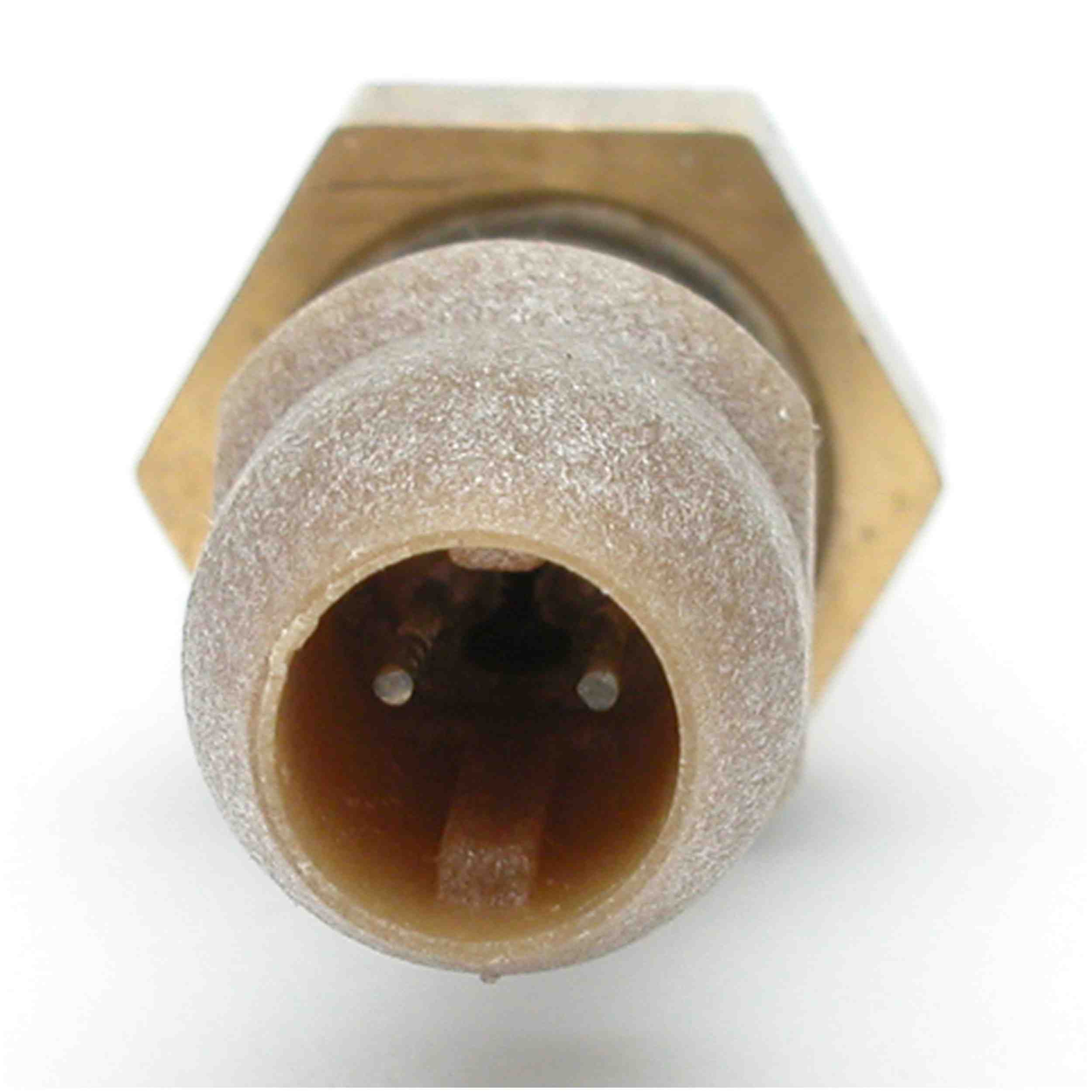 Delphi Engine Coolant Temperature Sender TS10193