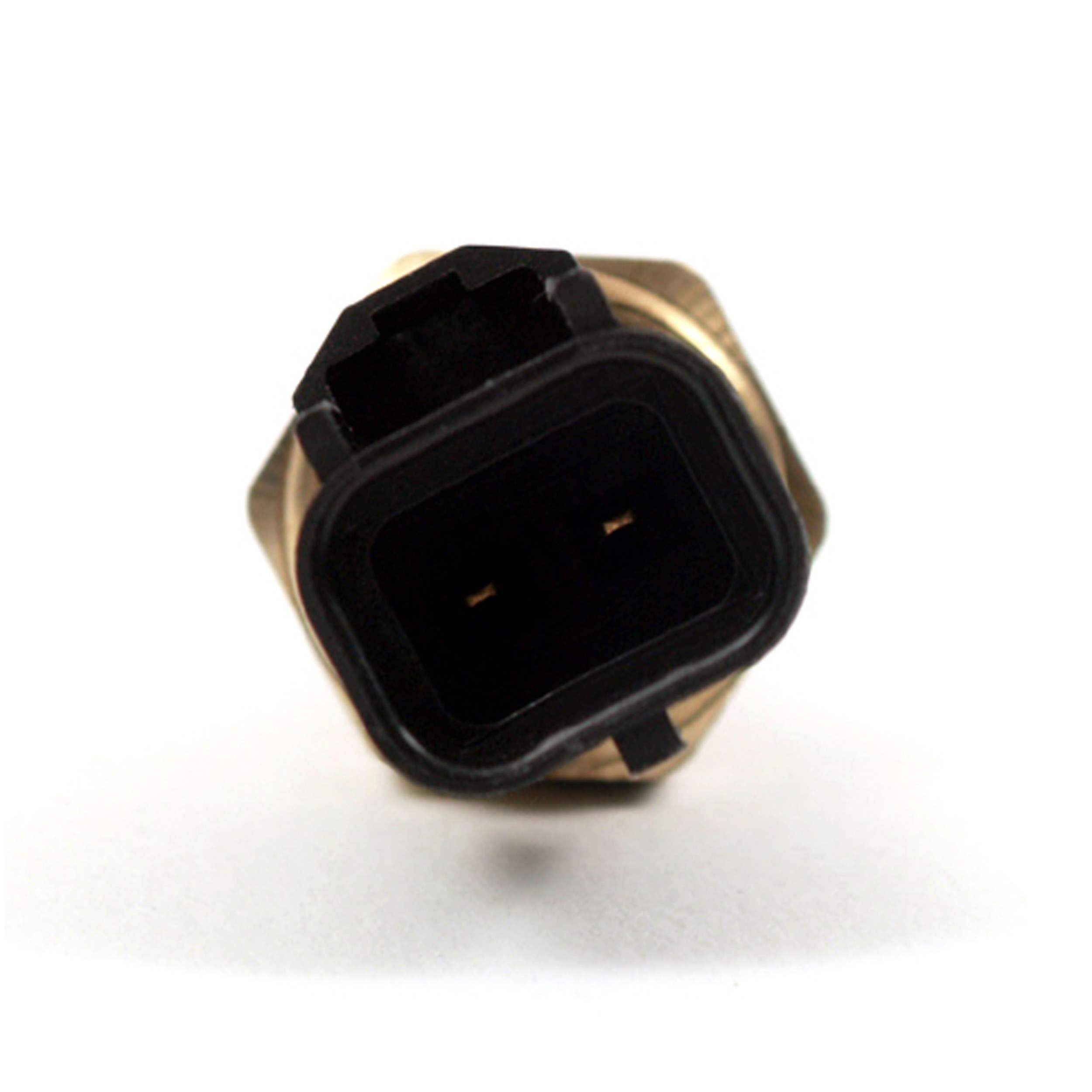 Delphi Engine Coolant Temperature Sensor TS10198