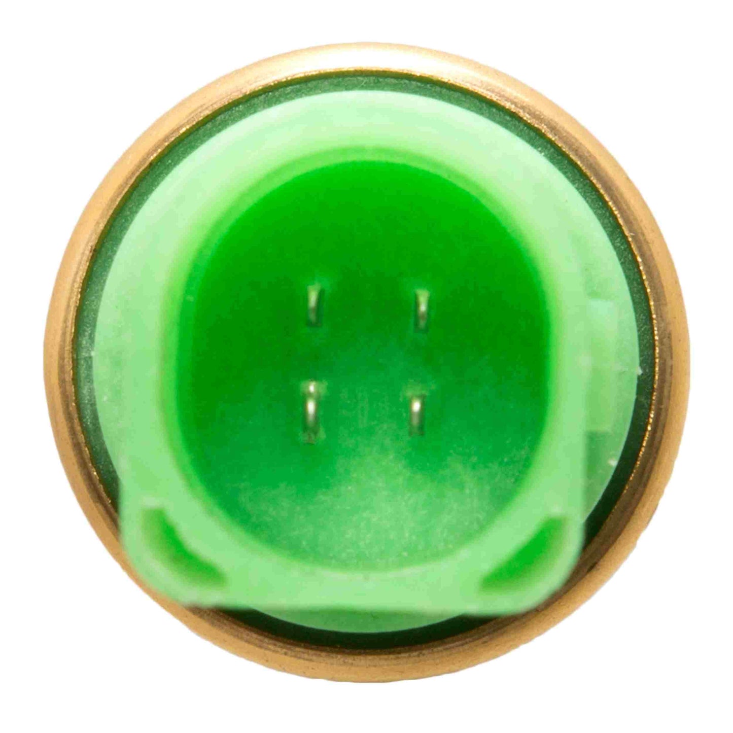 Delphi Engine Coolant Temperature Sensor TS10236