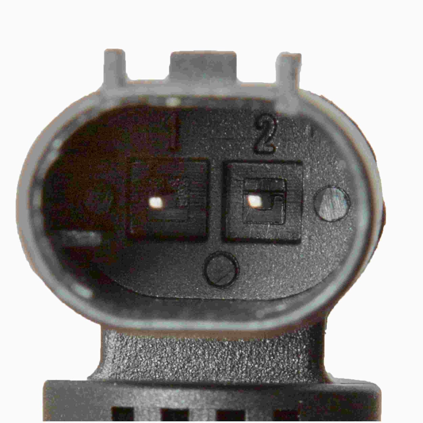 Delphi Engine Coolant Temperature Sensor TS10269