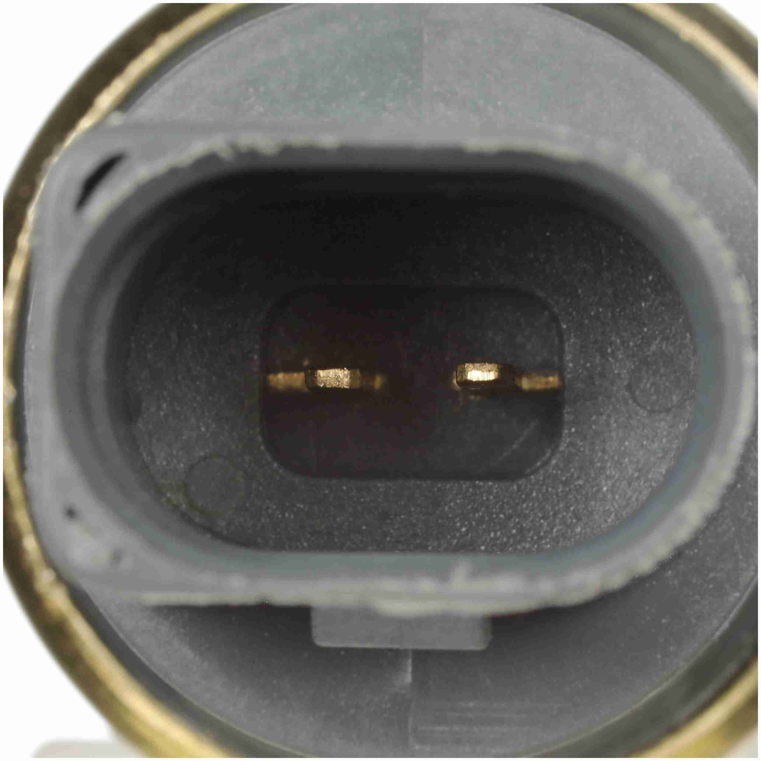 Delphi Engine Coolant Temperature Sensor TS10278