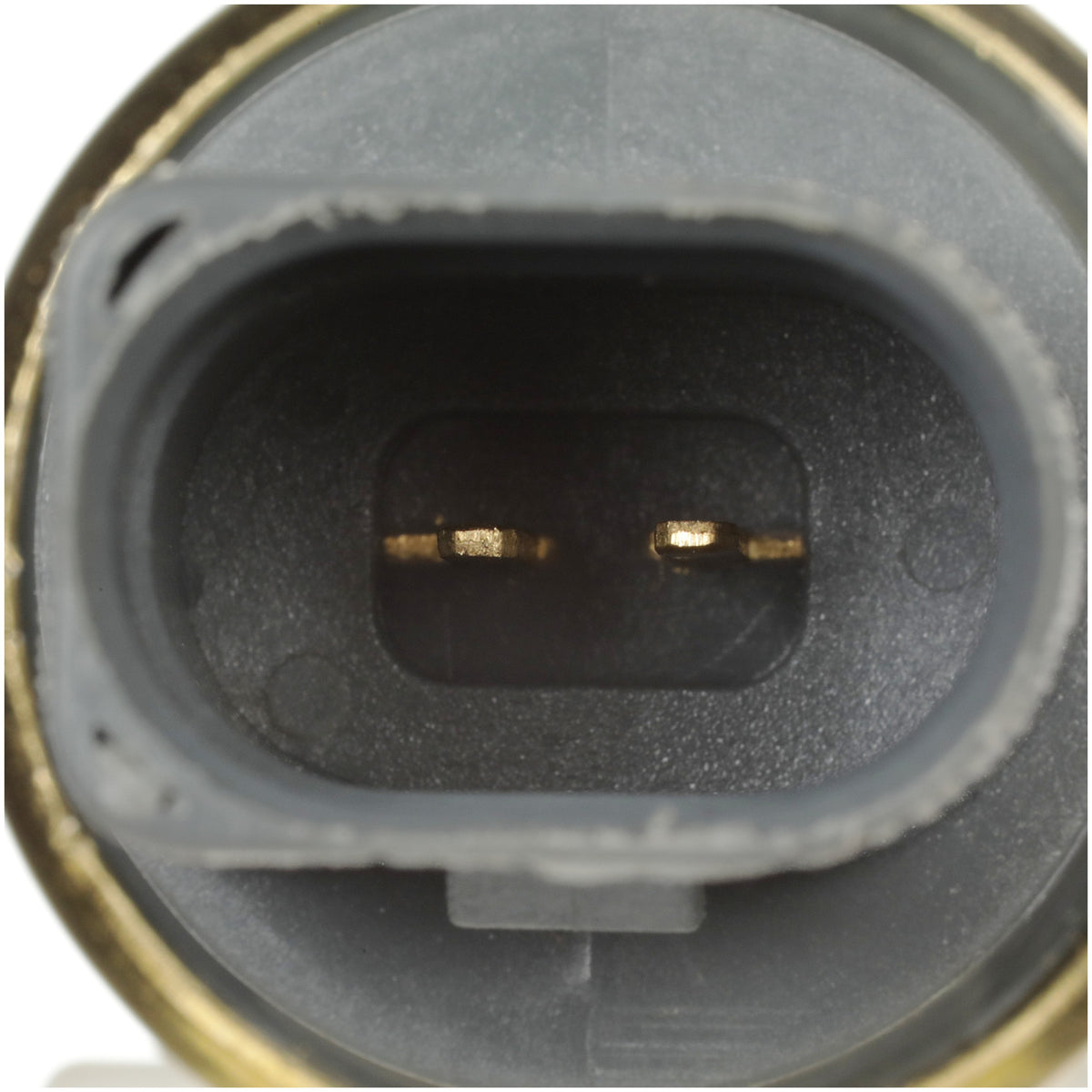 Delphi Engine Coolant Temperature Sensor TS10278