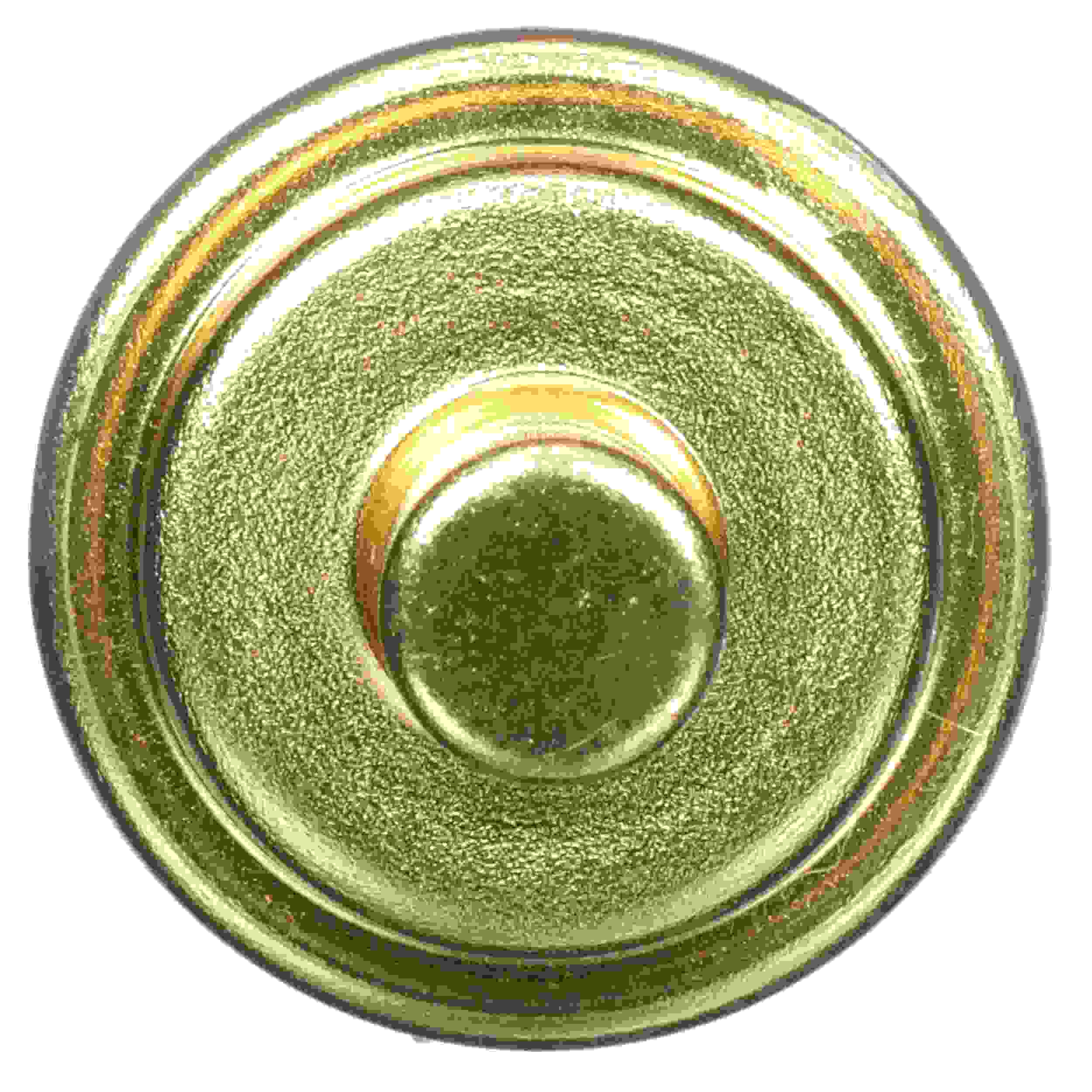 Delphi Engine Coolant Temperature Sensor TS10278