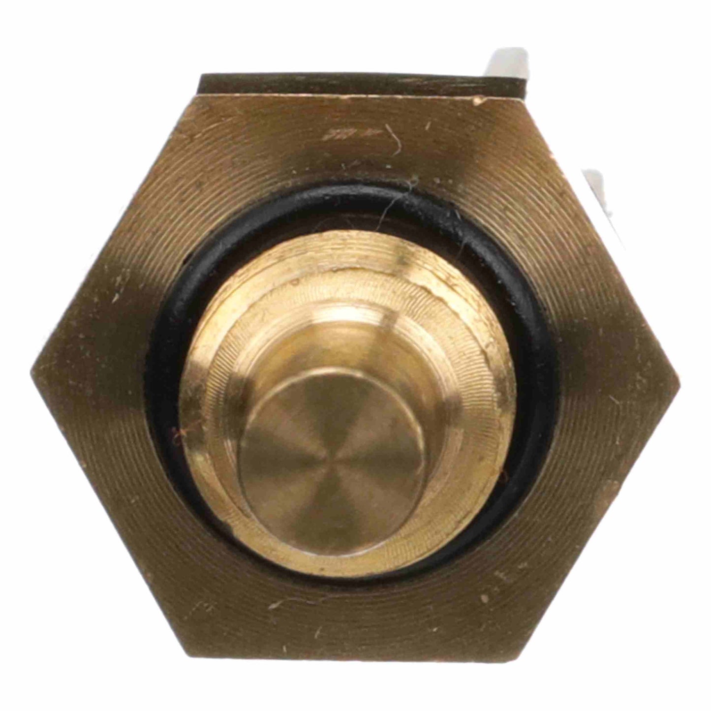 Delphi Engine Coolant Temperature Sensor TS10288