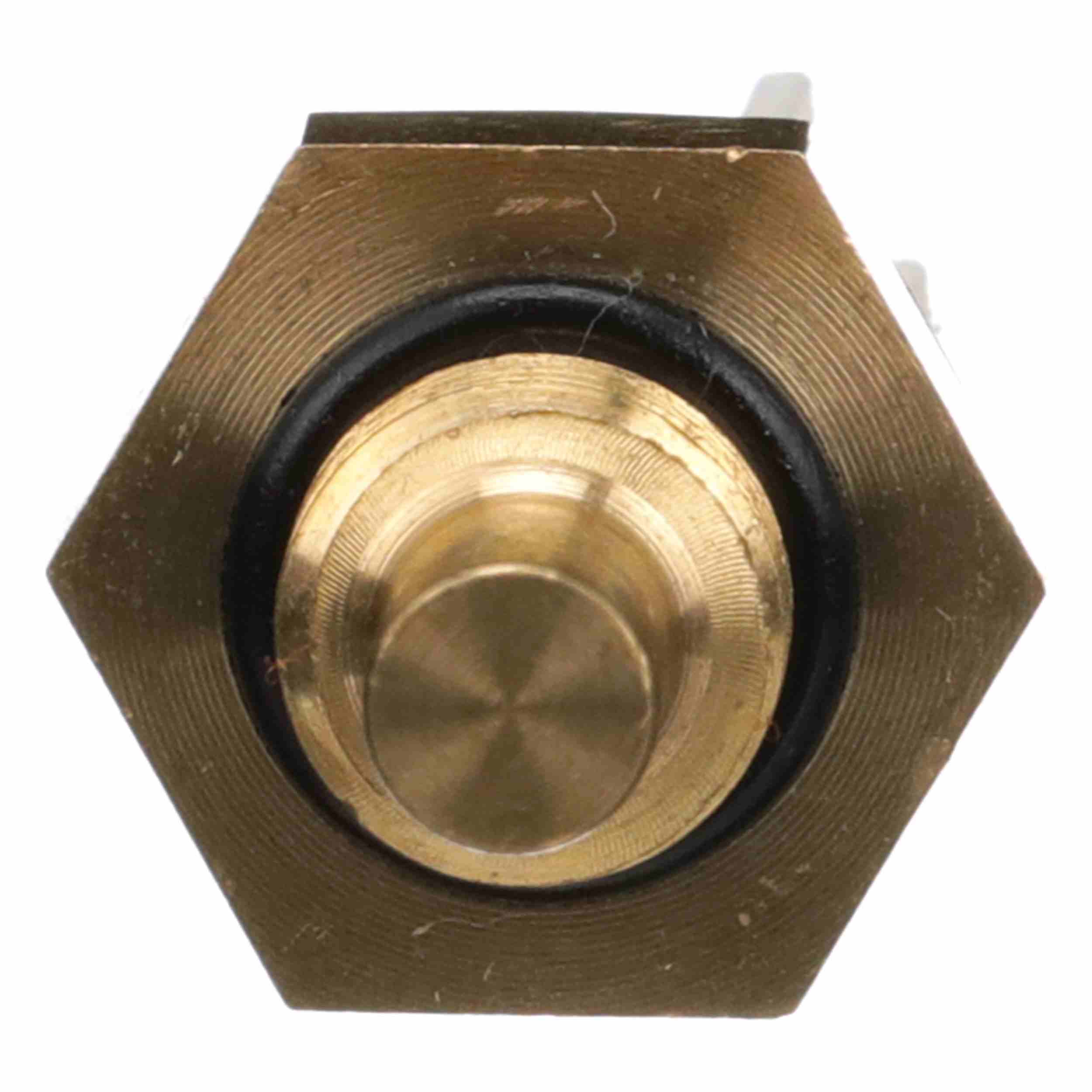 Delphi Engine Coolant Temperature Sensor TS10288