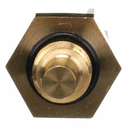 Delphi Engine Coolant Temperature Sensor TS10288