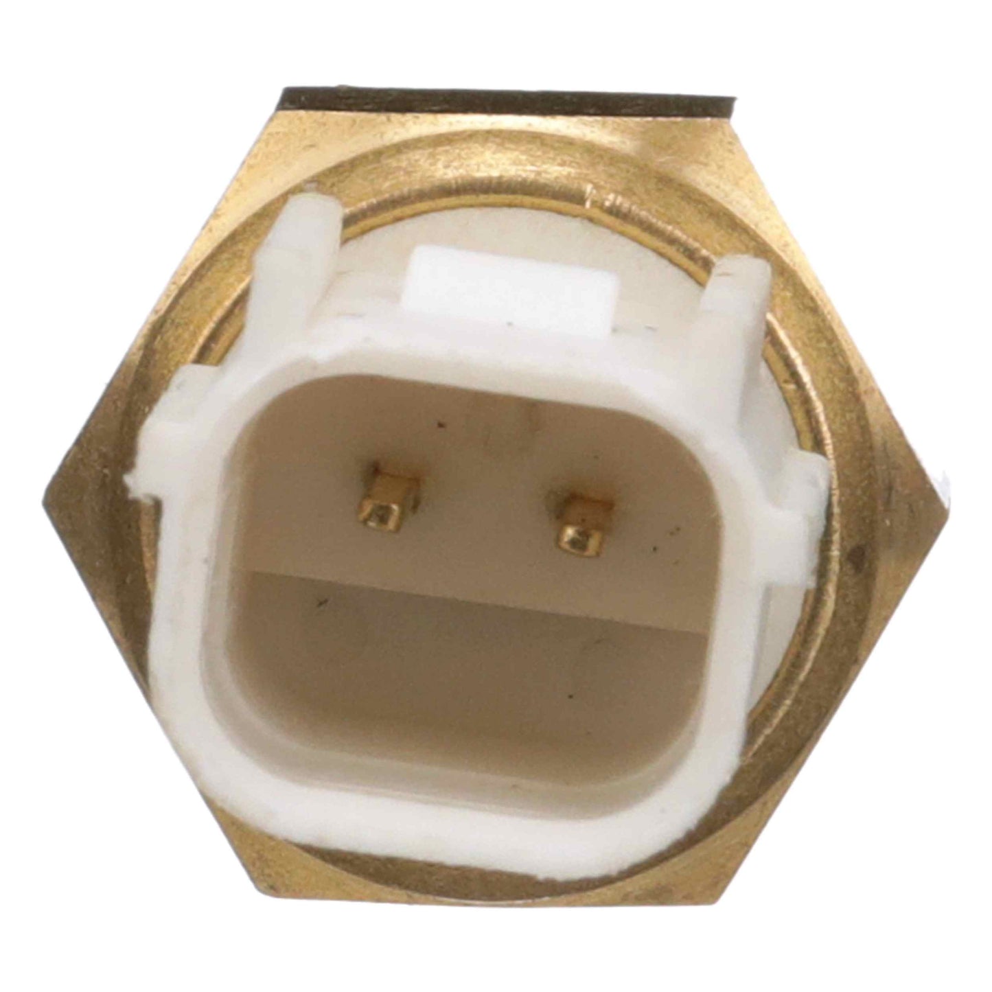 Delphi Engine Coolant Temperature Sensor TS10288