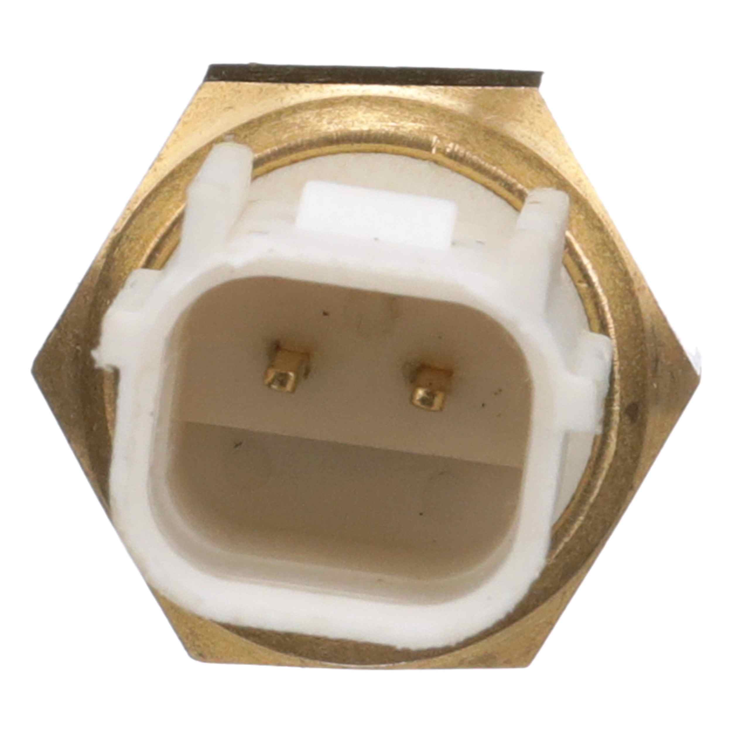 Delphi Engine Coolant Temperature Sensor TS10288