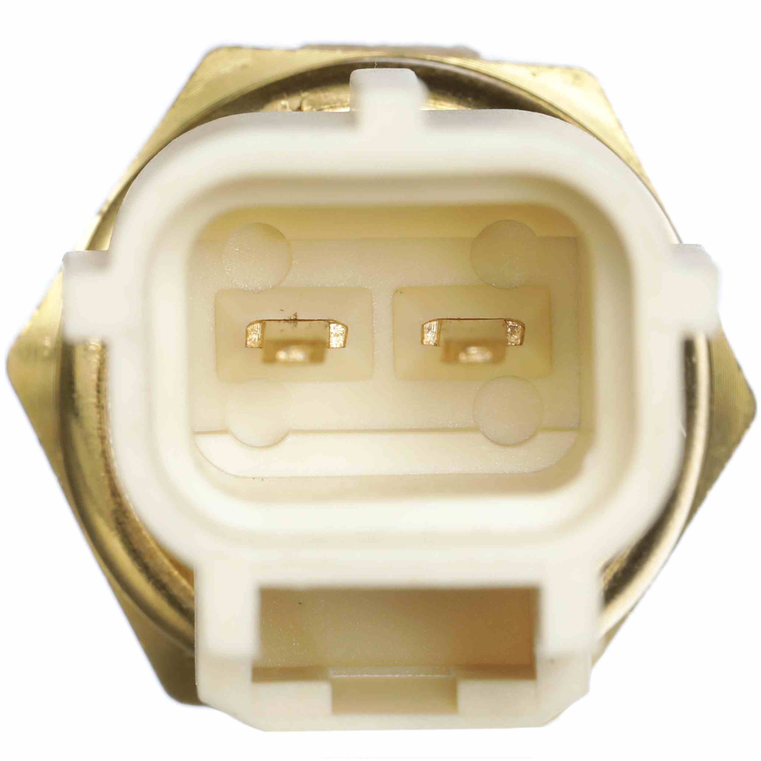 Delphi Engine Coolant Temperature Sensor TS10289