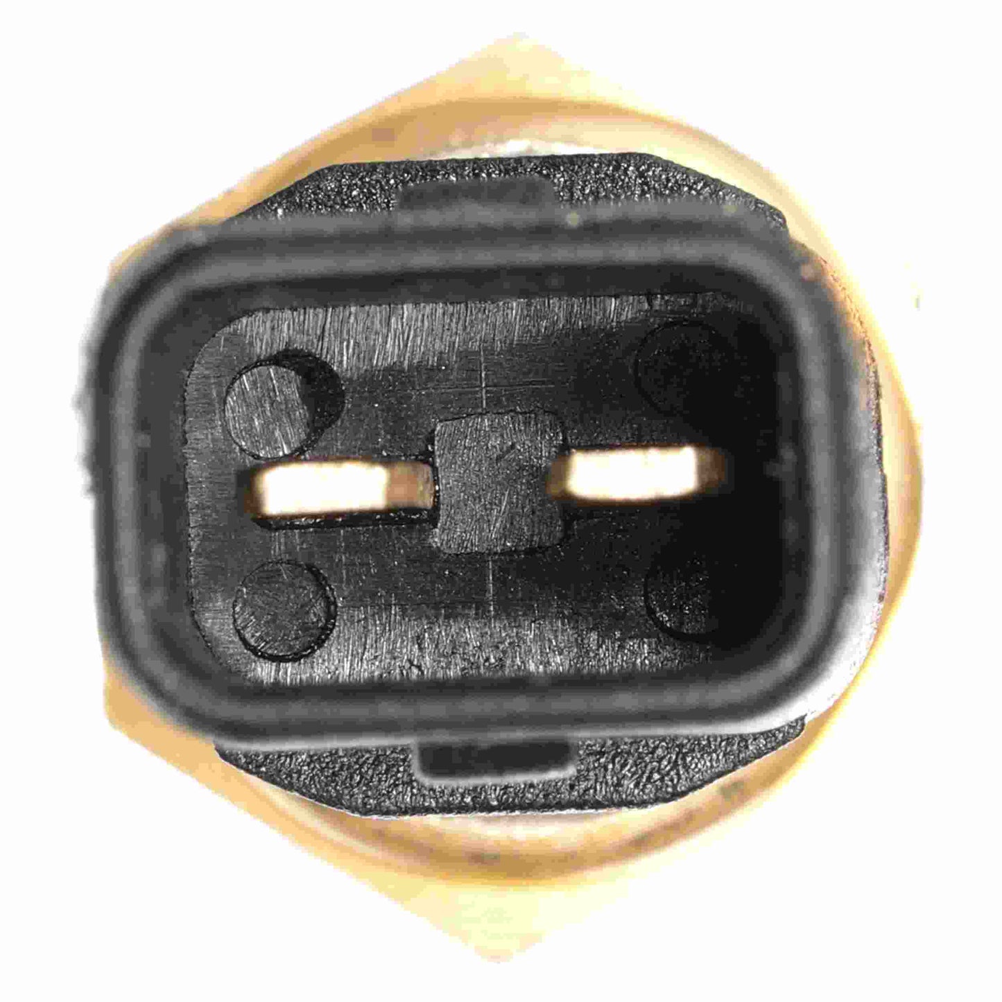 Delphi Engine Coolant Temperature Sensor TS10295