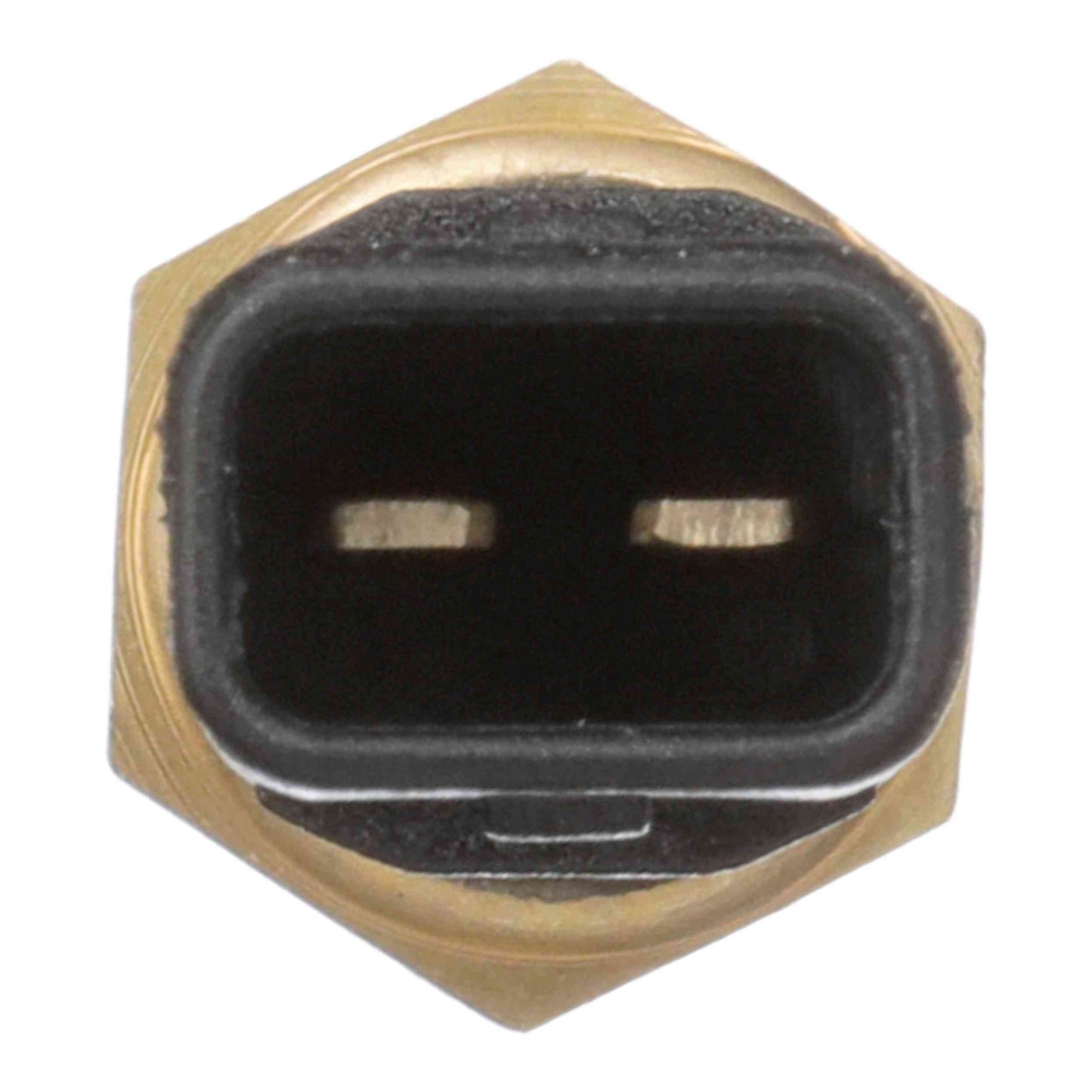 Delphi Engine Coolant Temperature Sensor TS10295